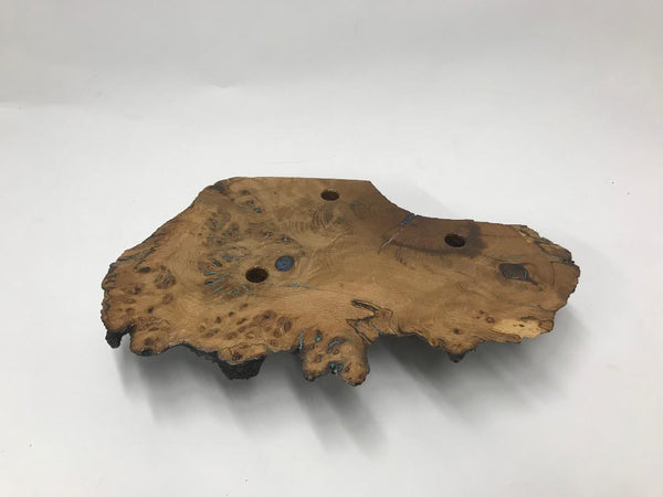 This one of a kind Oak burl fly display 01 has some of the cracks filled with copper and some others with turquoise and blue stone making it really interesting and beautiful.